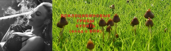 винт Бородино