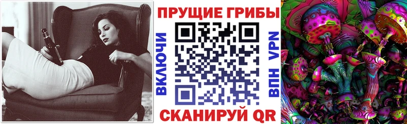 Галлюциногенные грибы GOLDEN TEACHER  закладка  кракен зеркало  Данилов 